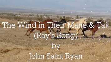 Free download The Wind in Their Mane and Tail video and edit with RedcoolMedia movie maker MovieStudio video editor online and AudioStudio audio editor onlin