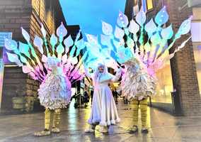 Free download The Winter Wonderland Birds video and edit with RedcoolMedia movie maker MovieStudio video editor online and AudioStudio audio editor onlin