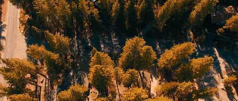 Free download The Wolf Trailer (Full Audio) video and edit with RedcoolMedia movie maker MovieStudio video editor online and AudioStudio audio editor onlin