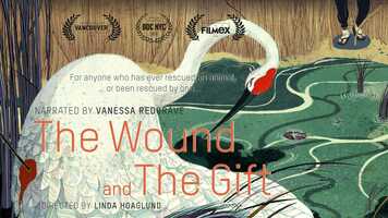 Free download The Wound  The Gift - Trailer video and edit with RedcoolMedia movie maker MovieStudio video editor online and AudioStudio audio editor onlin