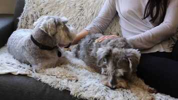 Free download third movie EDIT 6.mp4 video and edit with RedcoolMedia movie maker MovieStudio video editor online and AudioStudio audio editor onlin