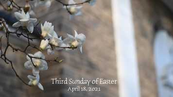 Free download Third Sunday of Easter: April 18, 2021 video and edit with RedcoolMedia movie maker MovieStudio video editor online and AudioStudio audio editor onlin