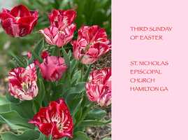 Free download Third Sunday of Easter video and edit with RedcoolMedia movie maker MovieStudio video editor online and AudioStudio audio editor onlin