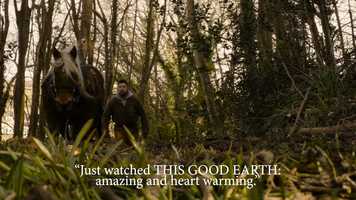 Free download THIS GOOD EARTH: Eco Tree Felling .mp4 video and edit with RedcoolMedia movie maker MovieStudio video editor online and AudioStudio audio editor onlin