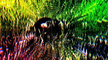 Free download This is DogStep....Step01 video and edit with RedcoolMedia movie maker MovieStudio video editor online and AudioStudio audio editor onlin