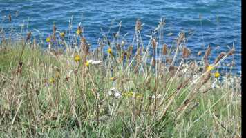 Free download This Moment This Place: Welsh Coast video and edit with RedcoolMedia movie maker MovieStudio video editor online and AudioStudio audio editor onlin