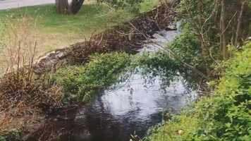 Free download This Must be the Place (Naive Melody), by Talking Heads - Eden Nobile video and edit with RedcoolMedia movie maker MovieStudio video editor online and AudioStudio audio editor onlin