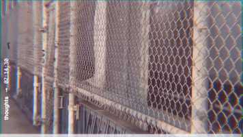 Free download thoughts. theo monroe. video and edit with RedcoolMedia movie maker MovieStudio video editor online and AudioStudio audio editor onlin