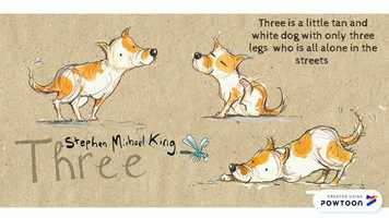 Free download Three Book Trailer video and edit with RedcoolMedia movie maker MovieStudio video editor online and AudioStudio audio editor onlin