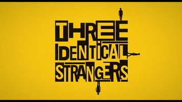 Free download THREE IDENTICAL STRANGERS Trailer video and edit with RedcoolMedia movie maker MovieStudio video editor online and AudioStudio audio editor onlin