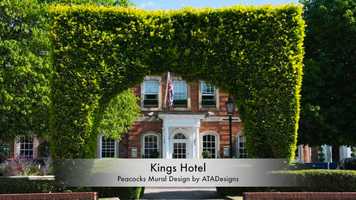 Free download Three Peacocks Mural Design by ATADesigns at the Kings Hotel - High Wycombe video and edit with RedcoolMedia movie maker MovieStudio video editor online and AudioStudio audio editor onlin