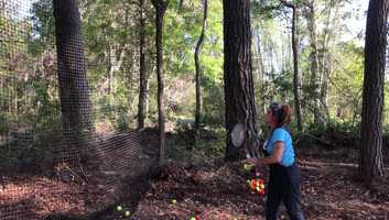 Free download Throwing and Serving video and edit with RedcoolMedia movie maker MovieStudio video editor online and AudioStudio audio editor onlin