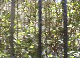 Free download Till Roeskens, LITTLE FENCE MUSIC,  2004 video and edit with RedcoolMedia movie maker MovieStudio video editor online and AudioStudio audio editor onlin