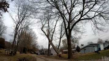 Free download Timber! video and edit with RedcoolMedia movie maker MovieStudio video editor online and AudioStudio audio editor onlin