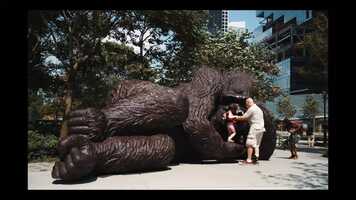 Free download timelapse Music video and edit with RedcoolMedia movie maker MovieStudio video editor online and AudioStudio audio editor onlin