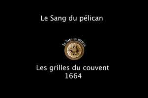 Free download Timelaspe_Studio_Les Grilles LSP video and edit with RedcoolMedia movie maker MovieStudio video editor online and AudioStudio audio editor onlin