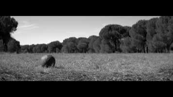 Free download TIME-OUT (Trailer) video and edit with RedcoolMedia movie maker MovieStudio video editor online and AudioStudio audio editor onlin