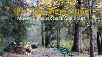 Free download Time to change our clocks video and edit with RedcoolMedia movie maker MovieStudio video editor online and AudioStudio audio editor onlin