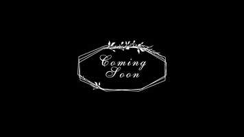 Free download Timothy  Stephany Wedding Trailer video and edit with RedcoolMedia movie maker MovieStudio video editor online and AudioStudio audio editor onlin