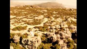 Free download Tina Turner - On Silent Wings (Official Music Video).mp4.c53d-6057-bbe7-2066.part video and edit with RedcoolMedia movie maker MovieStudio video editor online and AudioStudio audio editor onlin