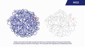 Free download TLA for Cells  HMW DNA video and edit with RedcoolMedia movie maker MovieStudio video editor online and AudioStudio audio editor onlin