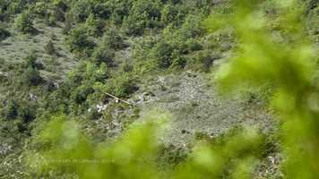 Free download TLM Sciences video and edit with RedcoolMedia movie maker MovieStudio video editor online and AudioStudio audio editor onlin