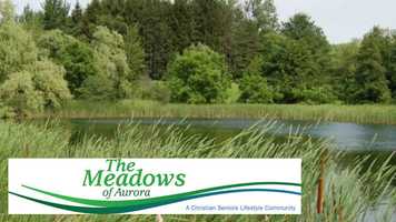 Free download TMOA - Dining Team Video Trailer video and edit with RedcoolMedia movie maker MovieStudio video editor online and AudioStudio audio editor onlin