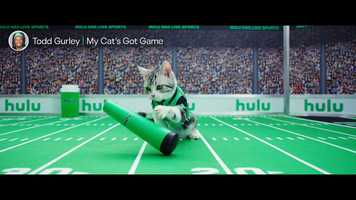 Free download Todd Gurleys New Cat Mr. Hulu Has Live Sports video and edit with RedcoolMedia movie maker MovieStudio video editor online and AudioStudio audio editor onlin