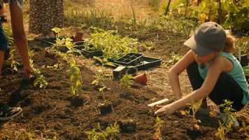 Free download Together We Grow At Home video and edit with RedcoolMedia movie maker MovieStudio video editor online and AudioStudio audio editor onlin