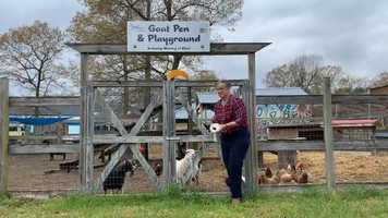 Free download Toilet Paper Challenge - The Jefferson School video and edit with RedcoolMedia movie maker MovieStudio video editor online and AudioStudio audio editor onlin