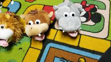 Free download Tom Kenny video and edit with RedcoolMedia movie maker MovieStudio video editor online and AudioStudio audio editor onlin