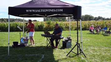 Free download Tony and Lisa - BluWave Music video and edit with RedcoolMedia movie maker MovieStudio video editor online and AudioStudio audio editor onlin