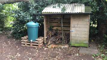 Free download TOOL_Collecting Rain Water in the Forest video and edit with RedcoolMedia movie maker MovieStudio video editor online and AudioStudio audio editor onlin