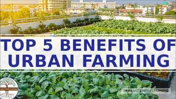 Free download Top 5 Benefits of Urban Farming Explainer Video video and edit with RedcoolMedia movie maker MovieStudio video editor online and AudioStudio audio editor onlin