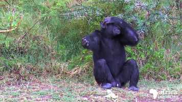 Free download Top Places to visit in Kenya video and edit with RedcoolMedia movie maker MovieStudio video editor online and AudioStudio audio editor onlin