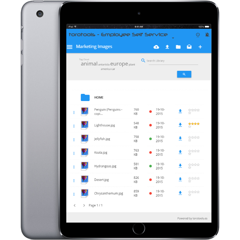 Download web tool or web app torotools: Social DMS HRMS PM Time Track Download web tool or web app torotools: Social DMS HRMS PM Time Track