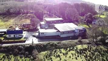 Free download TORPEY BAMBÚ - THE FULL STORY video and edit with RedcoolMedia movie maker MovieStudio video editor online and AudioStudio audio editor onlin