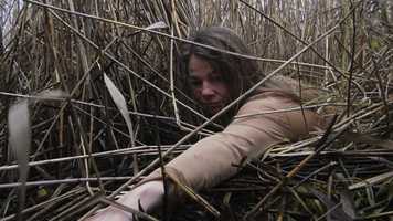 Free download TOUCHED BY NATURE Episode 4 Reeds video and edit with RedcoolMedia movie maker MovieStudio video editor online and AudioStudio audio editor onlin