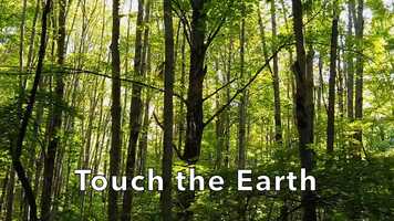 Free download Touch the earth (melody) BACKING.mp4 video and edit with RedcoolMedia movie maker MovieStudio video editor online and AudioStudio audio editor onlin