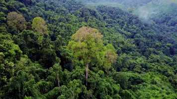 Free download Traccin 4x4 Sports - Spot05 video and edit with RedcoolMedia movie maker MovieStudio video editor online and AudioStudio audio editor onlin