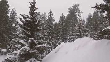 Free download Tracks video and edit with RedcoolMedia movie maker MovieStudio video editor online and AudioStudio audio editor onlin