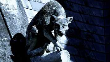 Free download TRAILER_1_PIERREFONDS_EN_v1.mp4 video and edit with RedcoolMedia movie maker MovieStudio video editor online and AudioStudio audio editor onlin