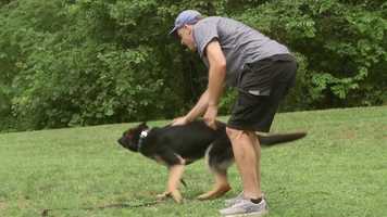 Free download Trailer 2 7.21.20 video and edit with RedcoolMedia movie maker MovieStudio video editor online and AudioStudio audio editor onlin