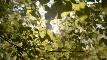 Free download trailer 3rd time video and edit with RedcoolMedia movie maker MovieStudio video editor online and AudioStudio audio editor onlin