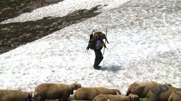 Free download Trailer ALPSUMMER DE.mp4 video and edit with RedcoolMedia movie maker MovieStudio video editor online and AudioStudio audio editor onlin