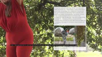 Free download Trailer: A messy story about oak and video and edit with RedcoolMedia movie maker MovieStudio video editor online and AudioStudio audio editor onlin