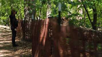 Free download Trailer Attempt 5 video and edit with RedcoolMedia movie maker MovieStudio video editor online and AudioStudio audio editor onlin