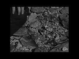 Free download trailer.avi video and edit with RedcoolMedia movie maker MovieStudio video editor online and AudioStudio audio editor onlin