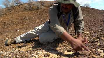 Free download Trailer Bioconciencia - MARCO COLANTONI video and edit with RedcoolMedia movie maker MovieStudio video editor online and AudioStudio audio editor onlin