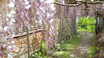 Free download TRAILER Dans latelier - Dominique Gaudu (Gilles Thomat) video and edit with RedcoolMedia movie maker MovieStudio video editor online and AudioStudio audio editor onlin